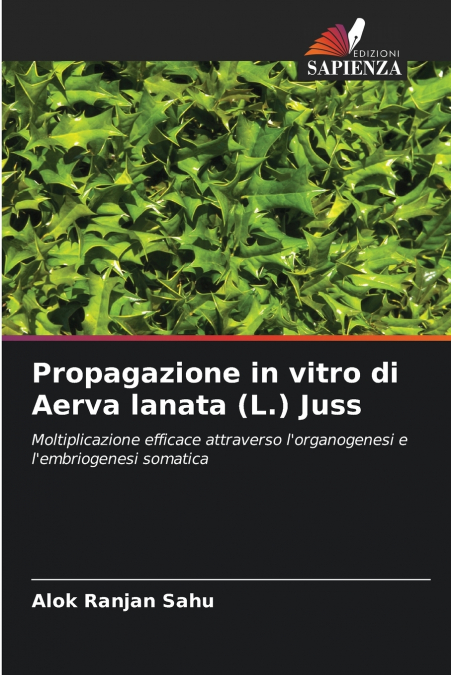 Propagazione in vitro di Aerva lanata (L.) Juss