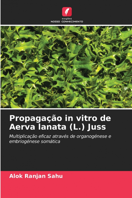 Propagação in vitro de Aerva lanata (L.) Juss