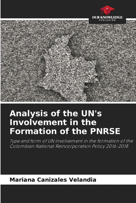 Analysis of the UN’s Involvement in the Formation of the PNRSE