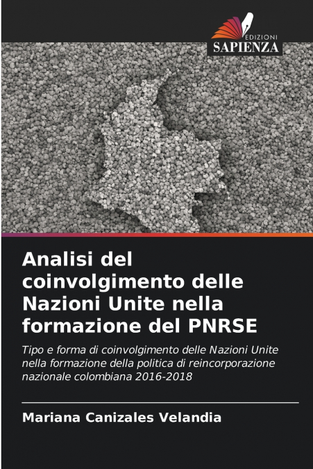 Analisi del coinvolgimento delle Nazioni Unite nella formazione del PNRSE