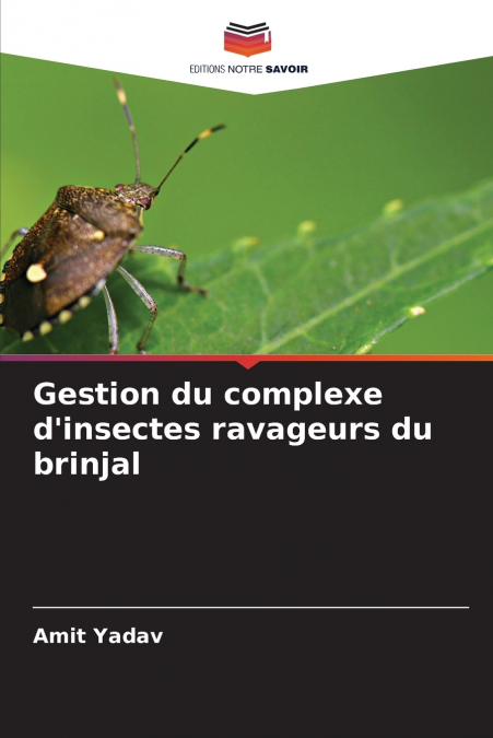 Gestion du complexe d’insectes ravageurs du brinjal