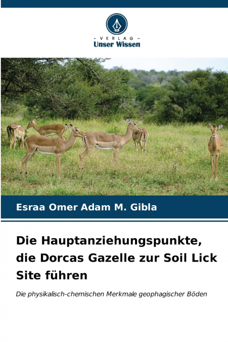 Die Hauptanziehungspunkte, die Dorcas Gazelle zur Soil Lick Site führen