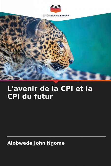 L’avenir de la CPI et la CPI du futur
