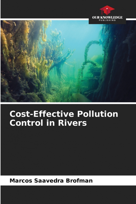 Cost-Effective Pollution Control in Rivers