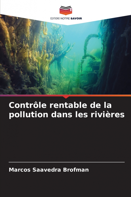 Contrôle rentable de la pollution dans les rivières