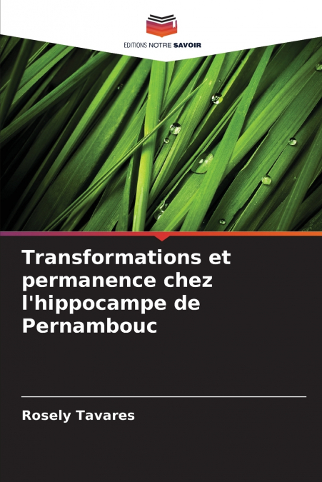 Transformations et permanence chez l’hippocampe de Pernambouc