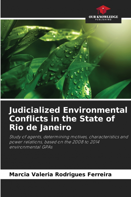 Judicialized Environmental Conflicts in the State of Rio de Janeiro