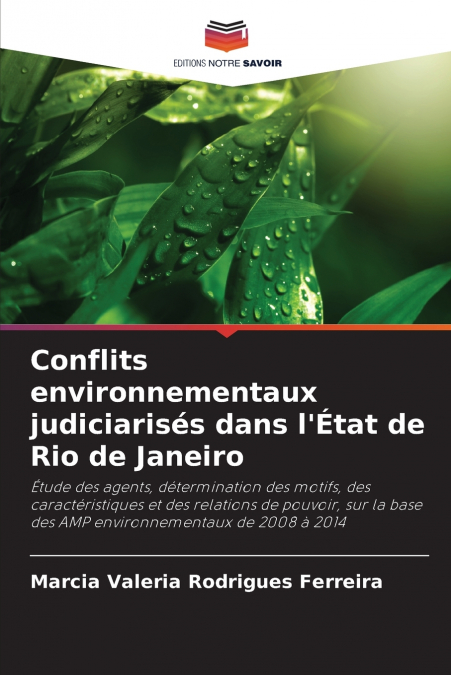 Conflits environnementaux judiciarisés dans l’État de Rio de Janeiro
