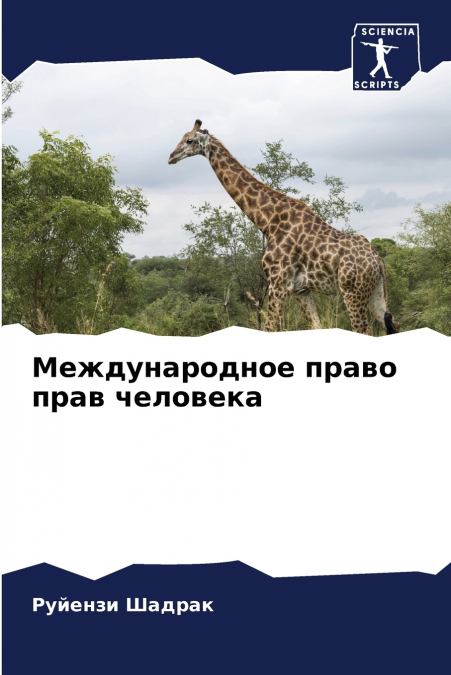 Международное право прав человека
