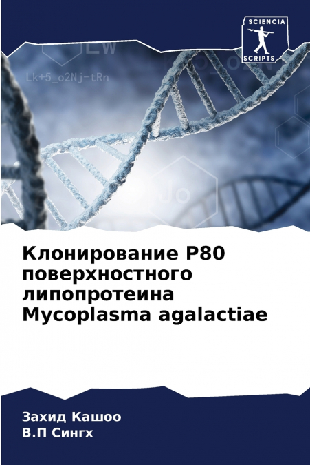 Клонирование P80 поверхностного липопротеина Mycoplasma agalactiae