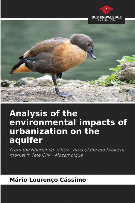 Analysis of the environmental impacts of urbanization on the aquifer