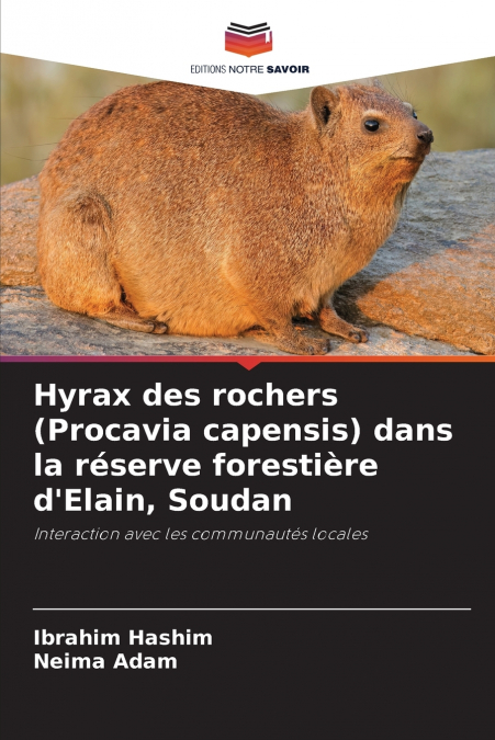 Hyrax des rochers (Procavia capensis) dans la réserve forestière d’Elain, Soudan