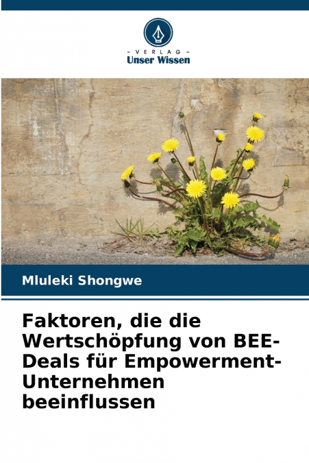 Faktoren, die die Wertschöpfung von BEE-Deals für Empowerment-Unternehmen beeinflussen