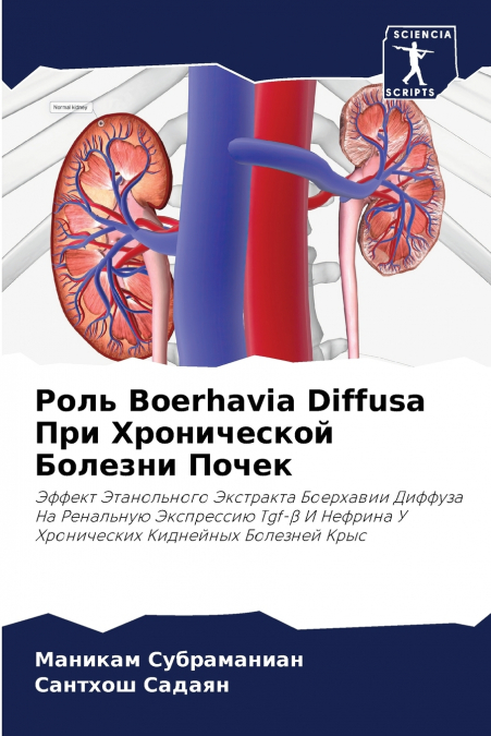 Роль Boerhavia Diffusa При Хронической Болезни Почек