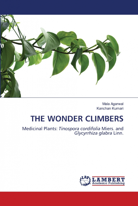 THE WONDER CLIMBERS