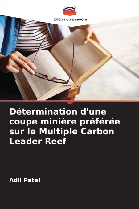 Détermination d’une coupe minière préférée sur le Multiple Carbon Leader Reef