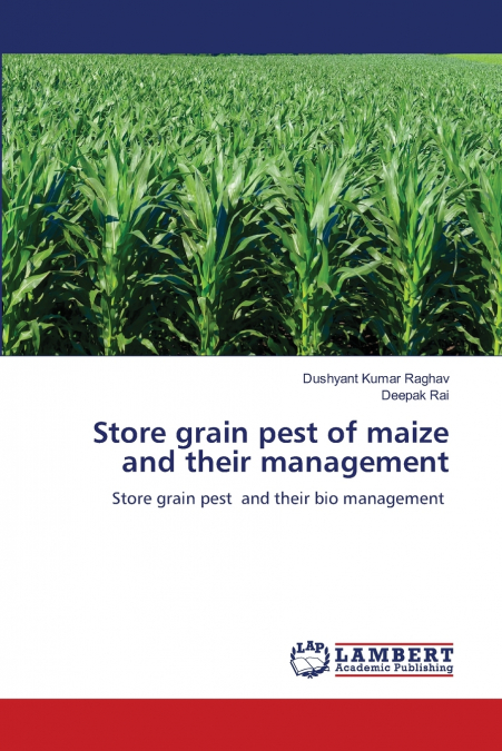 Store grain pest of maize and their management