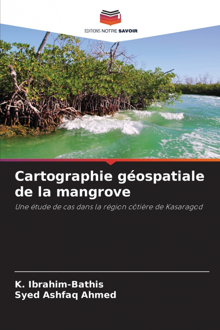 Cartographie géospatiale de la mangrove