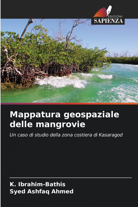 Mappatura geospaziale delle mangrovie