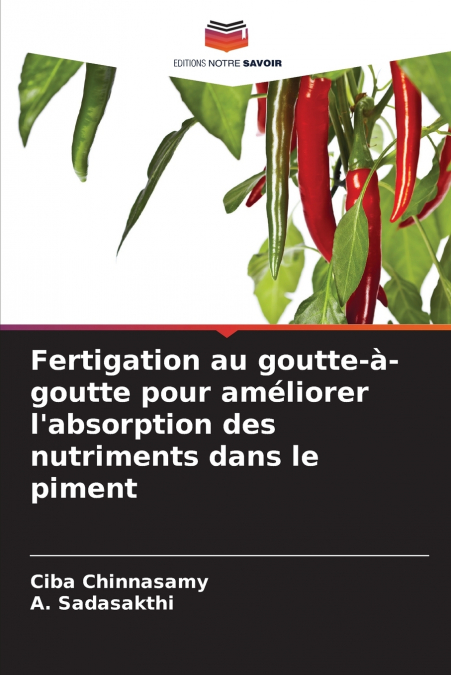 Fertigation au goutte-à-goutte pour améliorer l’absorption des nutriments dans le piment