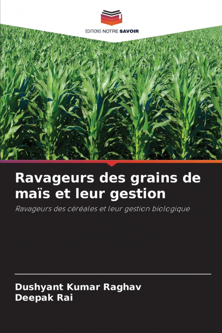 Ravageurs des grains de maïs et leur gestion