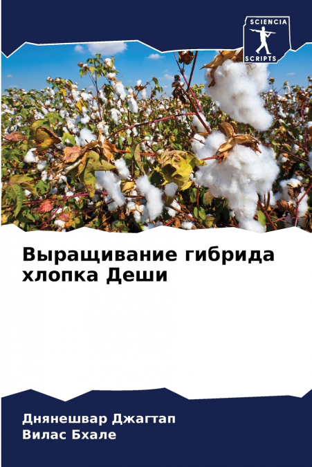 Выращивание гибрида хлопка Деши