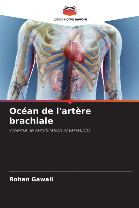 Océan de l’artère brachiale