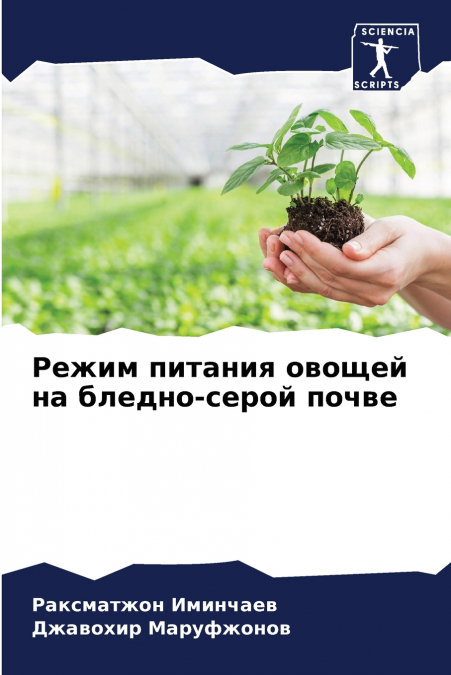 Режим питания овощей на бледно-серой почве