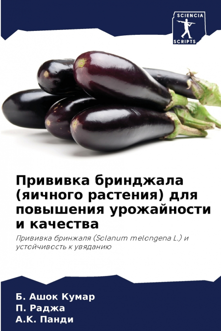 Прививка бринджала (яичного растения) для повышения урожайности и качества