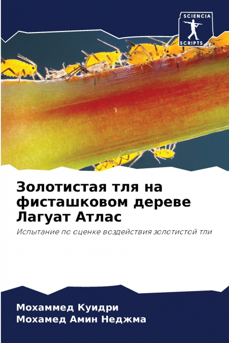 Золотистая тля на фисташковом дереве Лагуат Атлас