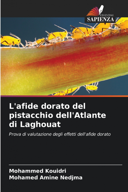 L’afide dorato del pistacchio dell’Atlante di Laghouat