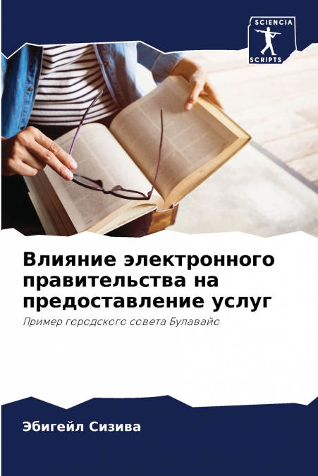 Влияние электронного правительства на предоставление услуг