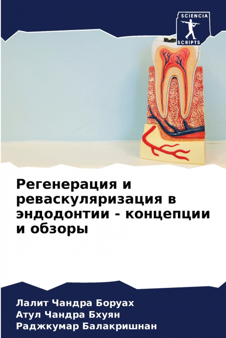 Регенерация и реваскуляризация в эндодонтии - концепции и обзоры