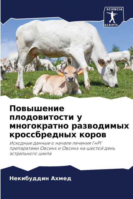 Повышение плодовитости у многократно разводимых кроссбредных коров