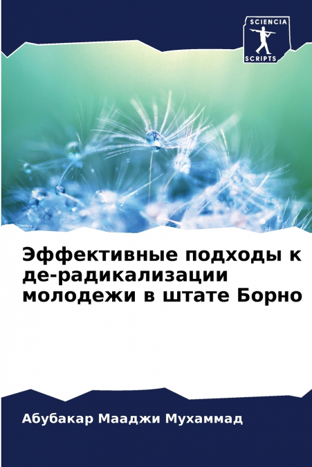 Эффективные подходы к де-радикализации молодежи в штате Борно