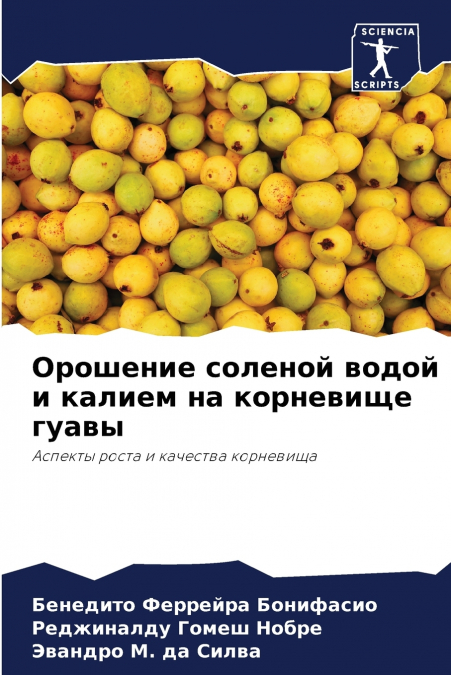 Орошение соленой водой и калием на корневище гуавы