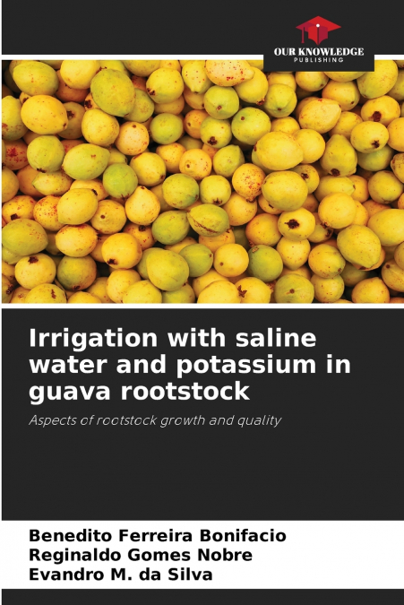 Irrigation with saline water and potassium in guava rootstock