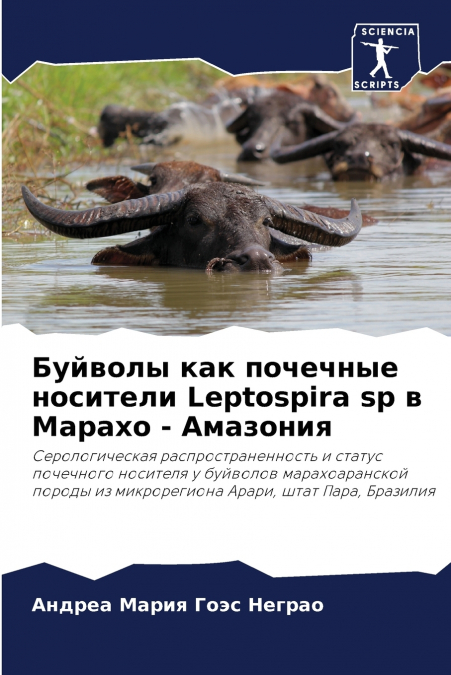 Буйволы как почечные носители Leptospira sp в Марахо - Амазония