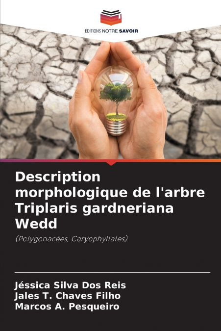 Description morphologique de l’arbre Triplaris gardneriana Wedd