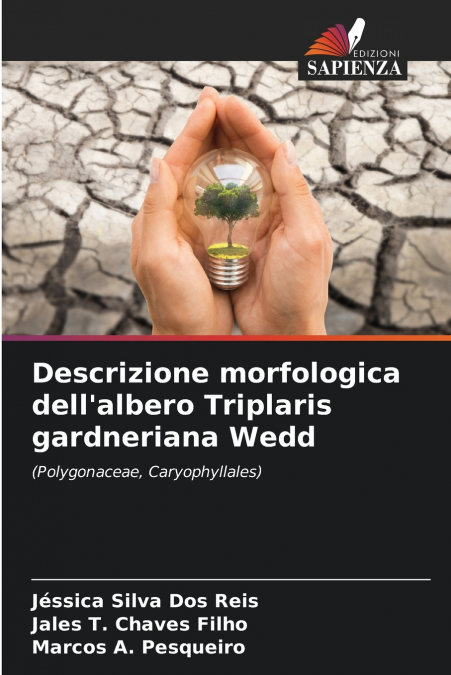 Descrizione morfologica dell’albero Triplaris gardneriana Wedd
