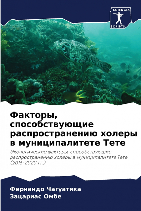 Факторы, способствующие распространению холеры в муниципалитете Тете
