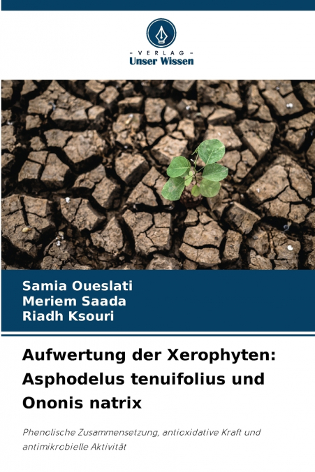 Aufwertung der Xerophyten