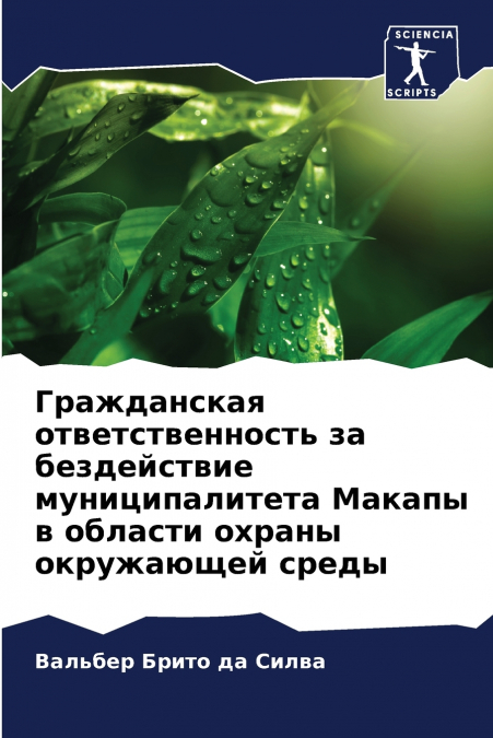 Гражданская ответственность за бездействие муниципалитета Макапы в области охраны окружающей среды