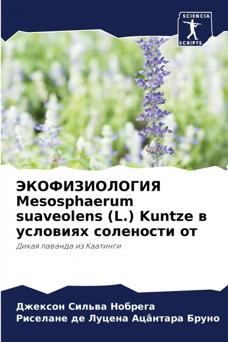ЭКОФИЗИОЛОГИЯ Mesosphaerum suaveolens (L.) Kuntze в условиях солености от