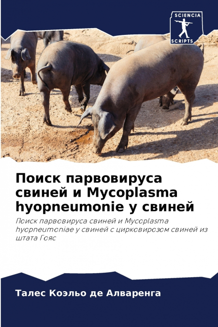 Поиск парвовируса свиней и Mycoplasma hyopneumonie у свиней