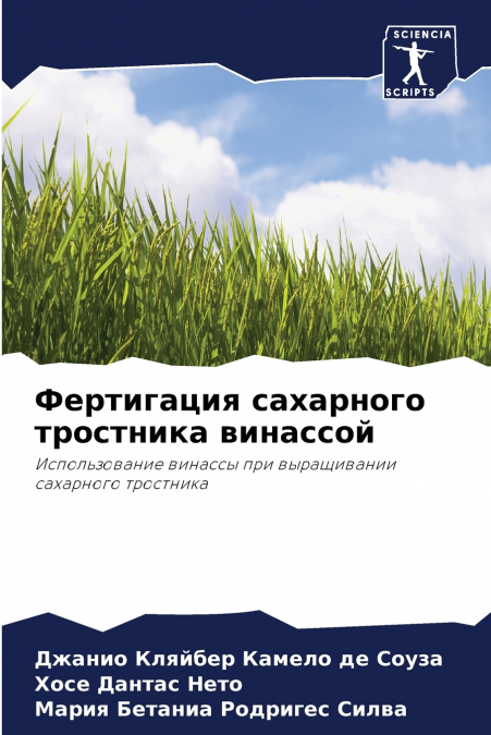 Фертигация сахарного тростника винассой