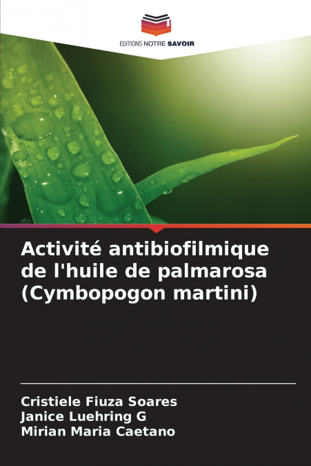Activité antibiofilmique de l’huile de palmarosa (Cymbopogon martini)