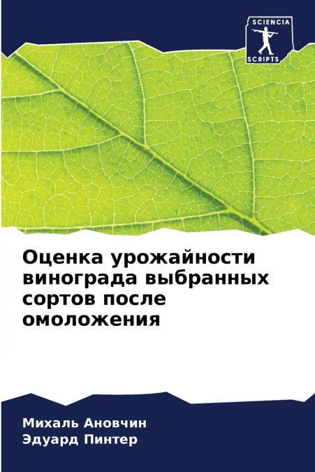 Оценка урожайности винограда выбранных сортов после омоложения
