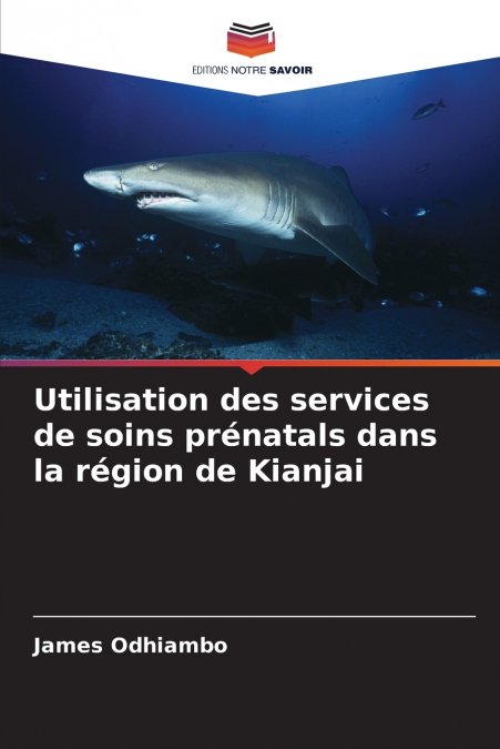 Utilisation des services de soins prénatals dans la région de Kianjai