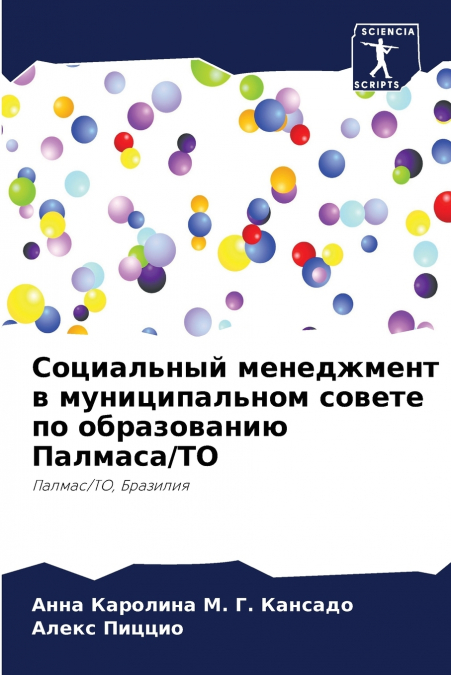 Социальный менеджмент в муниципальном совете по образованию Палмаса/ТО